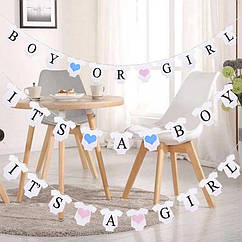 Гірлянда-розтяжка BOY OR GIRL бейбі шауер