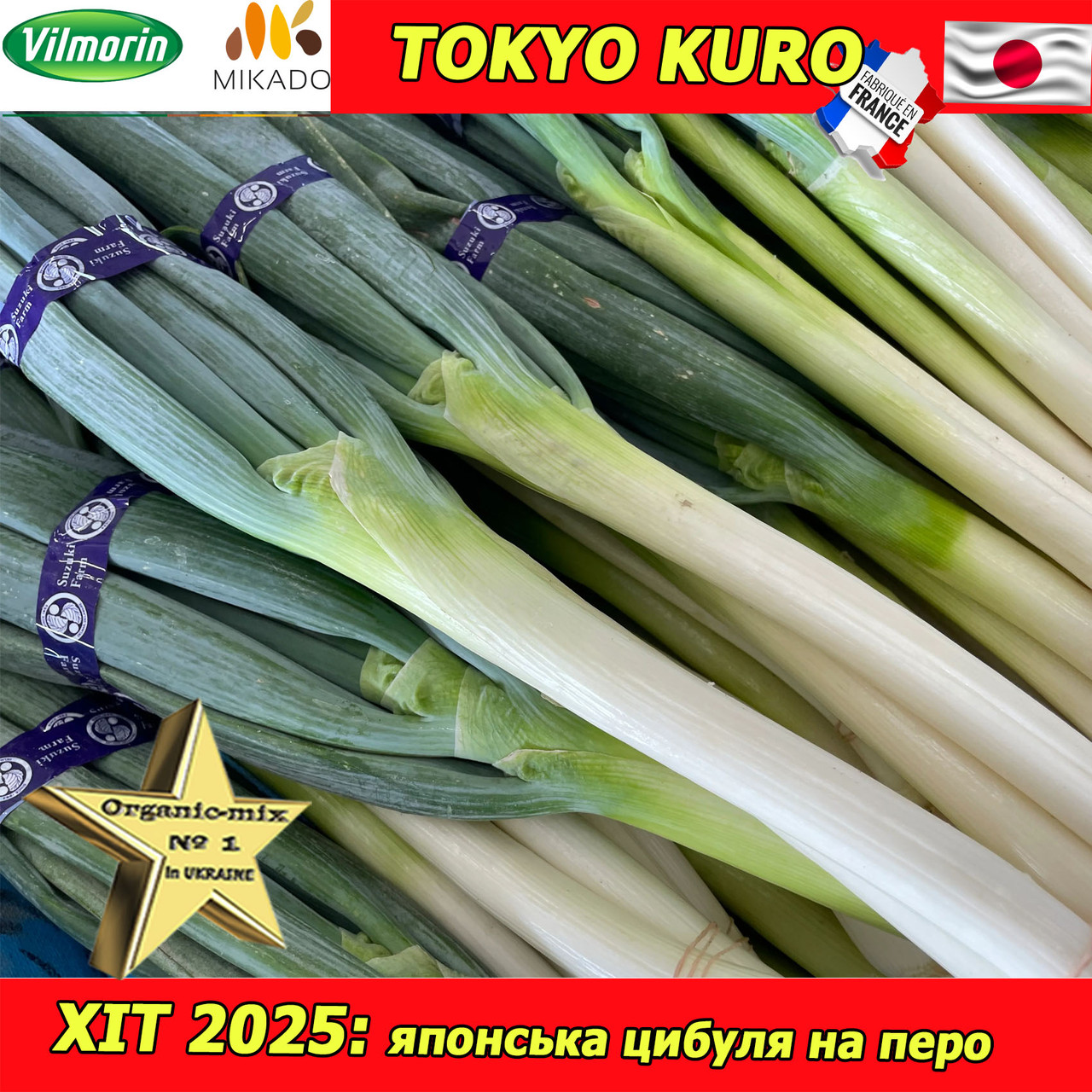 Солодка цибуля на зелень (перо) Токіо Куро / Tokyo Kuro, 20 000 насінин