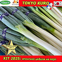Солодка цибуля на зелень (перо) Токіо Куро / Tokyo Kuro, 20 000 насінин
