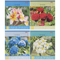 Від 12 шт. Зошит кольоровий 60 листів, клітина 3770 D  купити дешево оптом в інтернет-магазині