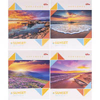 Від 12 шт. Зошит кольоровий 60 листів, клітина 3771 N  купити дешево оптом в інтернет-магазині