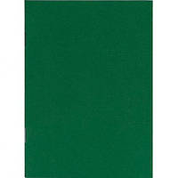 Від 10 шт. Книга записна А6 "Графіка" 36л.,КЛІТИНКА, скоба Зелена ЗК6836 К  купити дешево оптом в інтернет-магазині