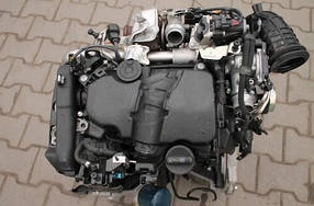 Двигун Ніссан Кубистар 1.5 dci