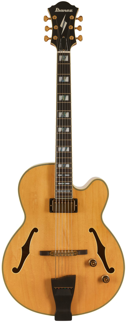 Напівакустична гітара IBANEZ PM200 NT Pat Metheny, фото 1