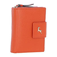 Гаманець жіночий Ashwood X30 (Orange)