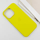 Чохол Silicone case (AAA) with Magsafe and Animation (button) для Apple iPhone 16 Pro Max (6.9") Star Fruit, фото 5