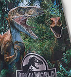 Шорти H&M для хлопчика для пляжу та купання р.92, 1,5-2 роки, Jurassic World, фото 3