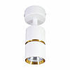 Накладний світильник Ledcoin ML312-1 BAMBOO золото білий 220V поворотний (під змінну LED лампу GU10) Ø55x170мм, фото 3