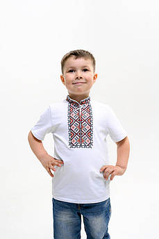 Вишиванка для хлопця Терен червона