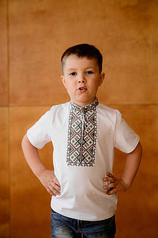 Вишиванка для хлопця Терен коричнева 104