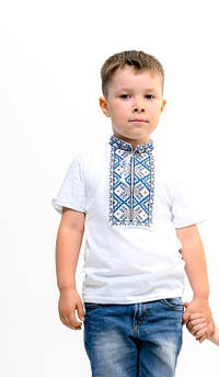 Вишиванка для хлопця Терен кольорова