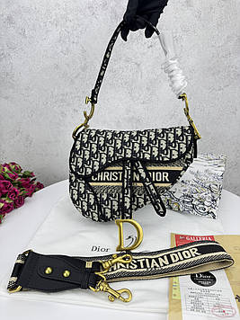 Dior Saddle Logo