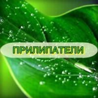 Прилипачі для рослин