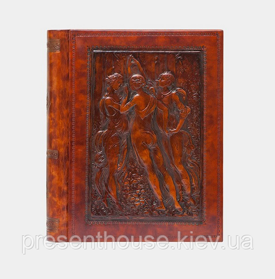 Шкіряний фотоальбом A SISSI (24х30), фото 1