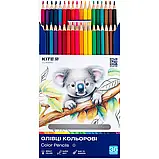 Олівці Kite Classic кольорові, 36 шт., фото 3