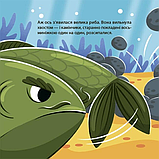 Книга Матусина бібліотечка. Як восьминіжка Чакі злився, фото 5