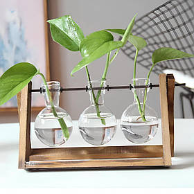 Декоративна ваза RESTEQ з трьома скляними колбами на дерев’яній підставці — стильний аксесуар для квітів та рослин