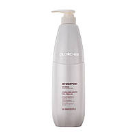 Шампунь для жирного волосся - Olorchee Anti Grease Shampoo 800 мл (4278800ml)