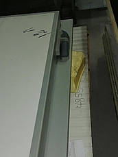 Дверні блоки для холодильних і морозильних камер Люкс., фото 3