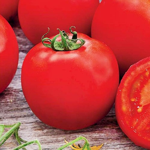 Насіння томат Руфус 20 шт.