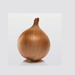 Цибуля сівок Бога Ф1 Broer B.V. 100г