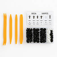 Набір автомобільних кліпс і пистонів (100 шт) + 4 знімачі для обшивки, салону, панелей, магнітол