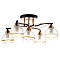 Люстра пристібна коричневого кольору на 5 прозорих плафонах  ELISEY, фото 2