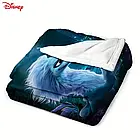 Плюшевий плед ковдра покривало Дракон Сісу Рая та останній дракон  130х150 см, фото 3