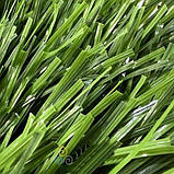 Штучний газон CCGrass Stemgrass для футбольного поля, фото 4