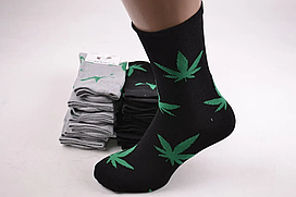 Шкарпетки чоловічі з малюнком Бавовна (Арт. ME31105), Арт.62926