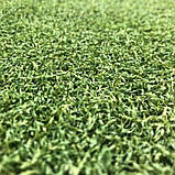 Штучна трава для гольфу і хокею CCGrass GreenE 12, фото 10