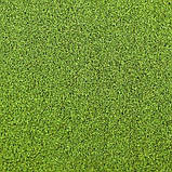 Штучна трава для гольфу і хокею CCGrass GreenE 12, фото 11