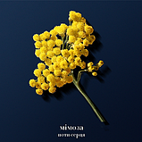 Парфуми для чоловіків Giorgio Armani Acqua di Gio Profondo Parfum 1.2 мл Пробник, фото 5