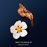 Парфуми для чоловіків Giorgio Armani Acqua di Gio Profondo Parfum 1.2 мл Пробник, фото 6