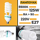 Набір студійного освітлення зі софтбоксами, журавлем та лампами 125W 5500K для фото- та відеозйомки, фото 11