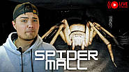 SPIDER MALL! — жахи VHS у закинутому ТЦ, де павуки трохи кумедні