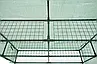 Парник з полицями Focus Garden 140x140 см зелений теплиця садова для розсади та овочів 8 полиць, фото 10