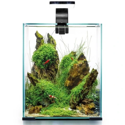 Акваріум для креветок Aquael Shrimp Set Smart Day & Night 30 чорний комплект D&n 30 чорний 3 режими, фото 1