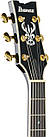Напівакустична гітара IBANEZ AMH90 BK, фото 8