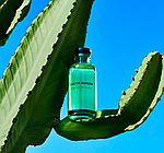 Louis Vuitton Cactus Garden парфумована вода 100 ml. (Луї Віттон Кактус Гарден), фото 6