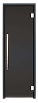 Скляні двері для хамаму GREUS Black Edition 80/200 Dark grey