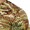 Футболка Patrol Chiton CoolPass Grid 2.0 Multicam, фото 6