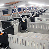 Кормовий автомат TR-2 від Rotecna для свиней на відгодівлі, фото 4