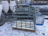 Верстат для опоросу з коритом ГР-40, Польща, фото 4