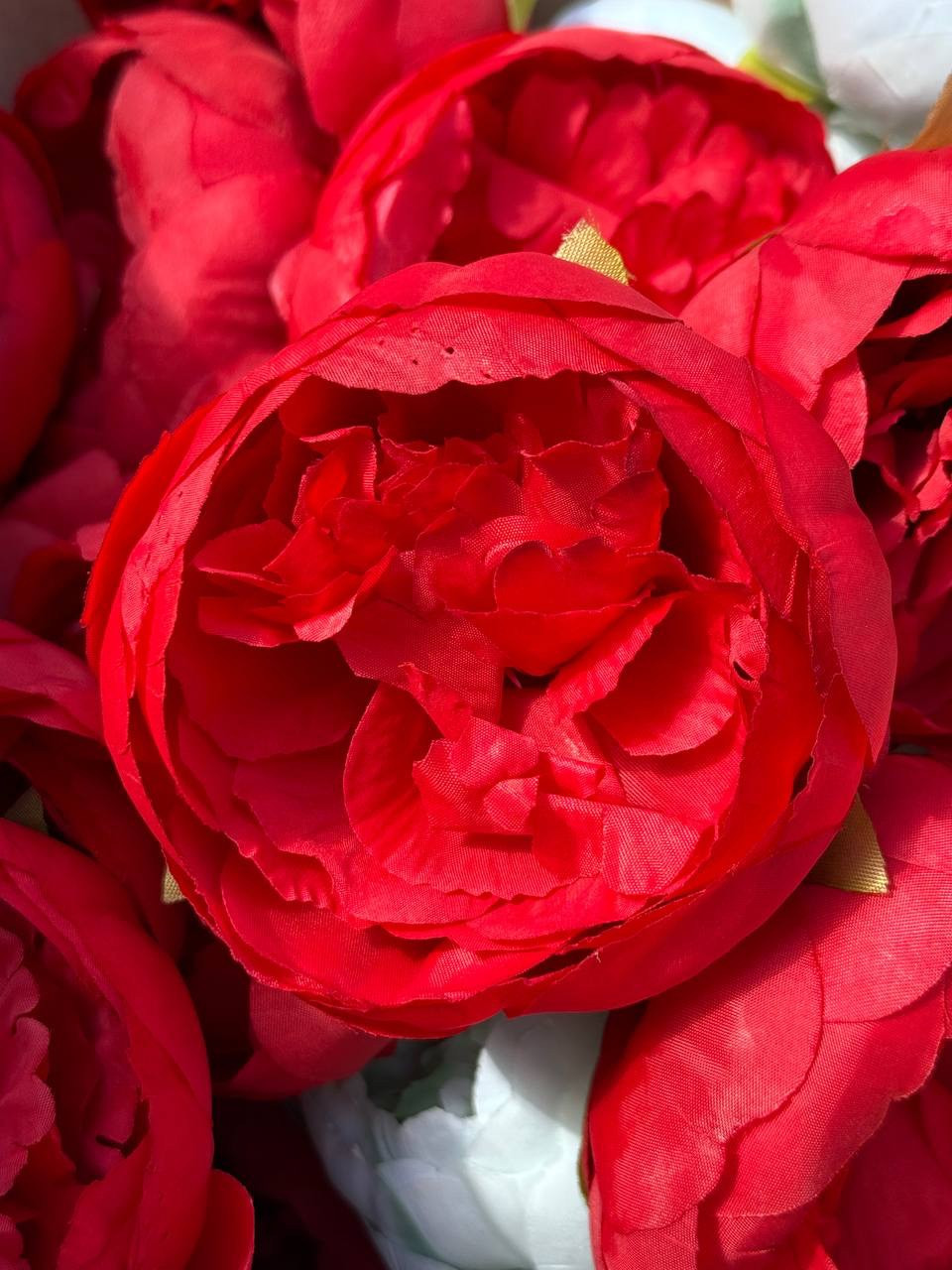 Одинична квітка півонії d 7 см колір червона ціна вказана за 5 шт.