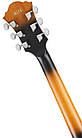 Лівостороння напівакустична гітара IBANEZ AF55L-TF, фото 9
