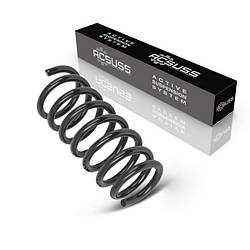 Посилена Задня Пружина Audi A6 (2008-) Ауді А6. АКСУСС Корея! 4004290 , 993126 , RA1504