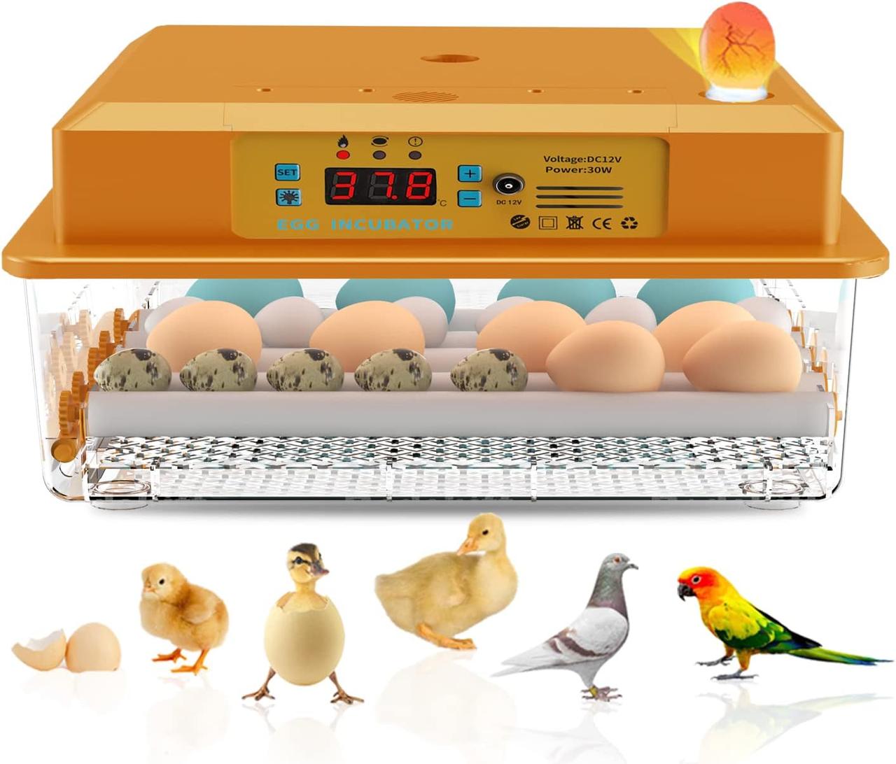 Інкубатор для яєць Hethya B09DXWL7WB, фото 1