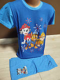 Літній дитячий костюм для хлопчика Щенячий патруль 2-8 років футболка з шортами блакитний та синій, фото 2
