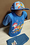 Літній дитячий костюм для хлопчика Щенячий патруль 2-8 років футболка з шортами блакитний та синій, фото 3